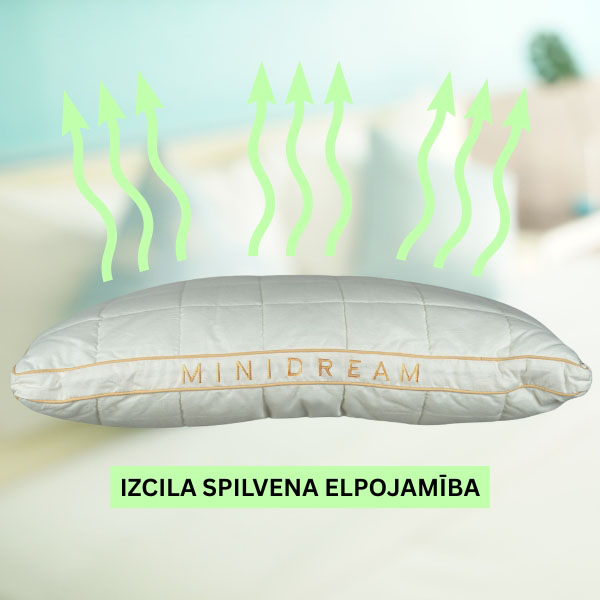 MINIDREAM