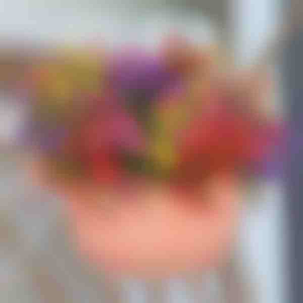 Mūžīgi ziedoša zaļuma kompozīcija (6 gab./komplekts) | ARTIFLOWERS