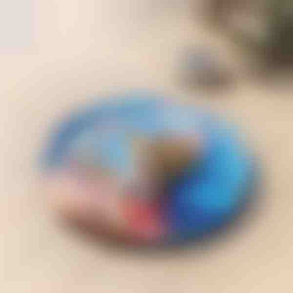 Mājdzīvnieku dzesēšanas ūdens paklājiņš | CHILLBED